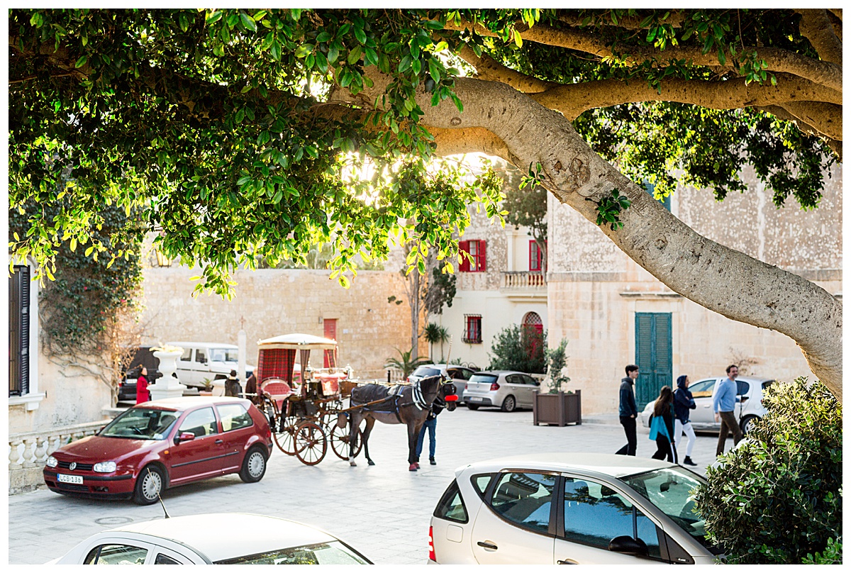 Malta, Travels_0647.jpg