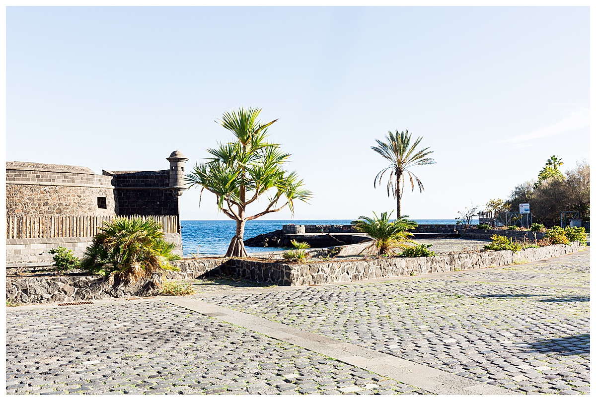Travels, Canary Islands_2272.jpg
