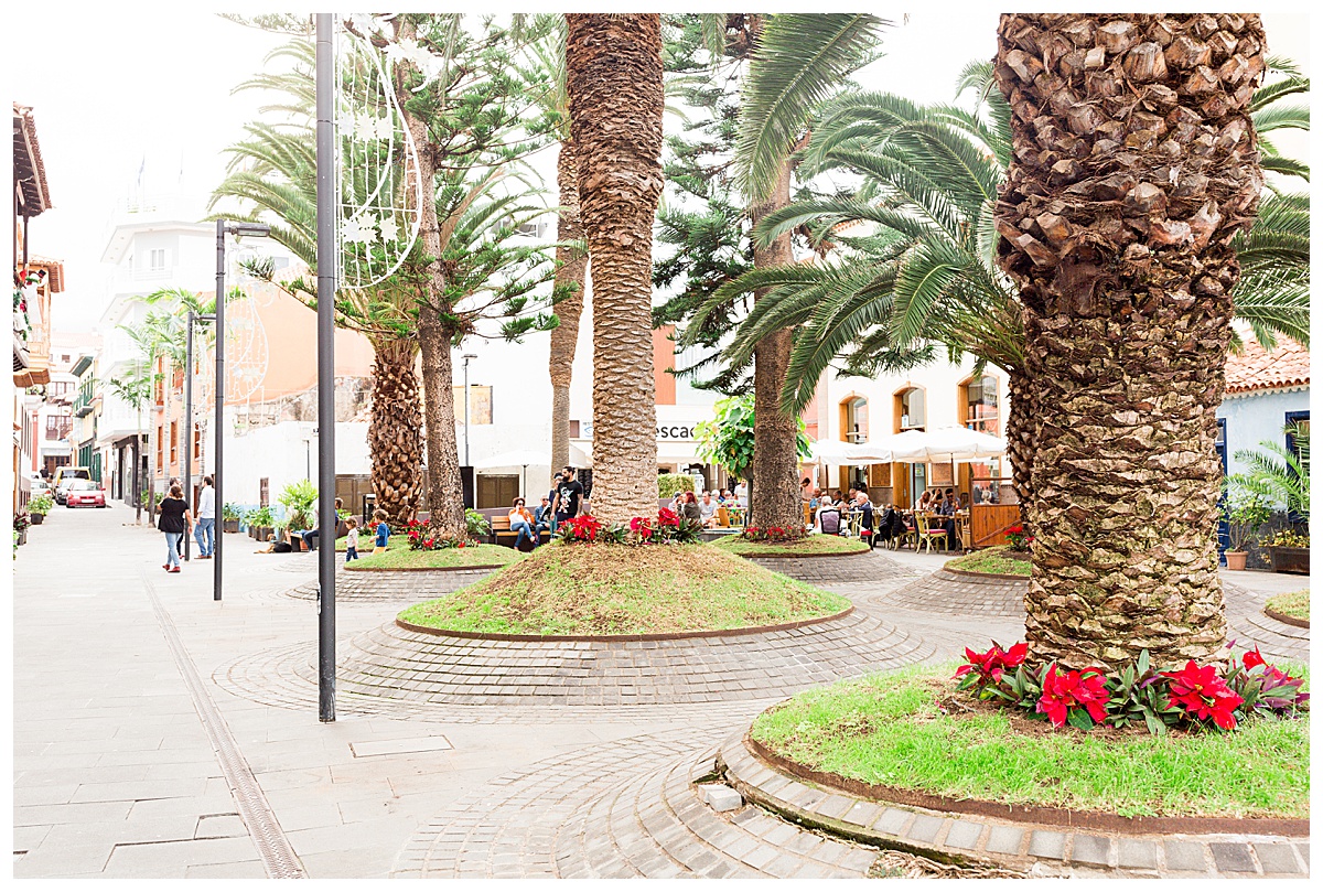 Travels, Canary Islands_2318.jpg